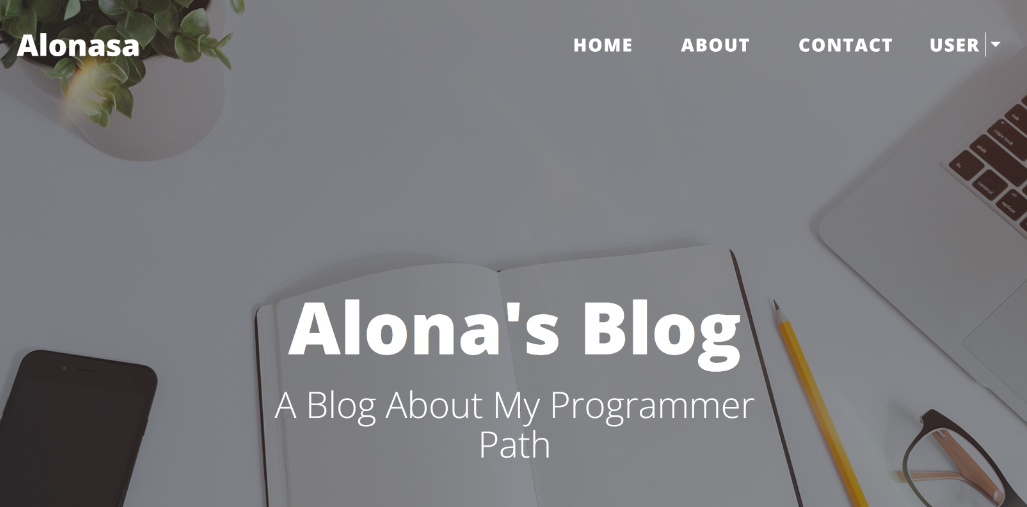 Blog project on Python