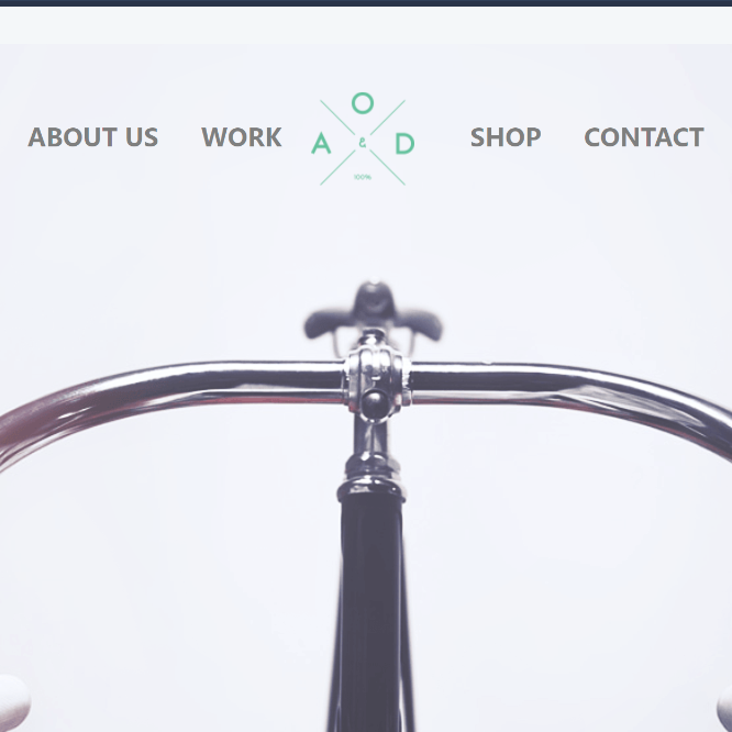 Website development project